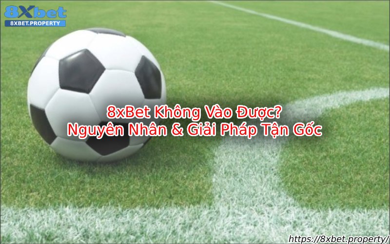 8xbet không vào được