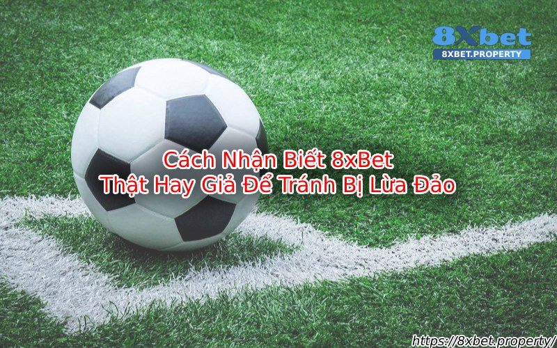 Cách nhận biết 8xBet Thật hay giả