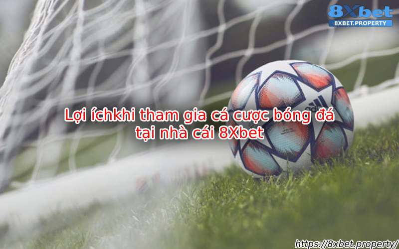 Lợi ích khi cá cược tại nhà cái 8xbet